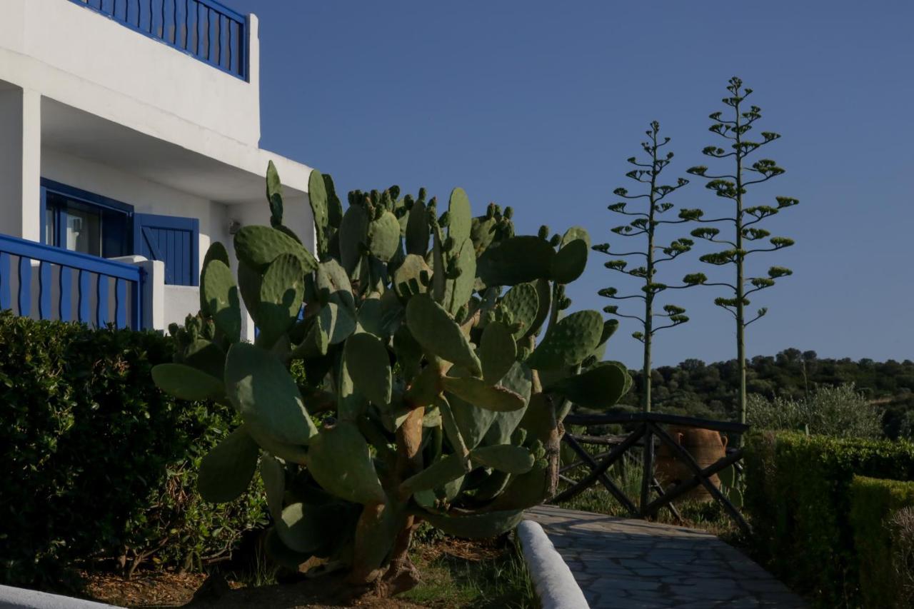 Agionissi Resort Ammouliani Exterior photo